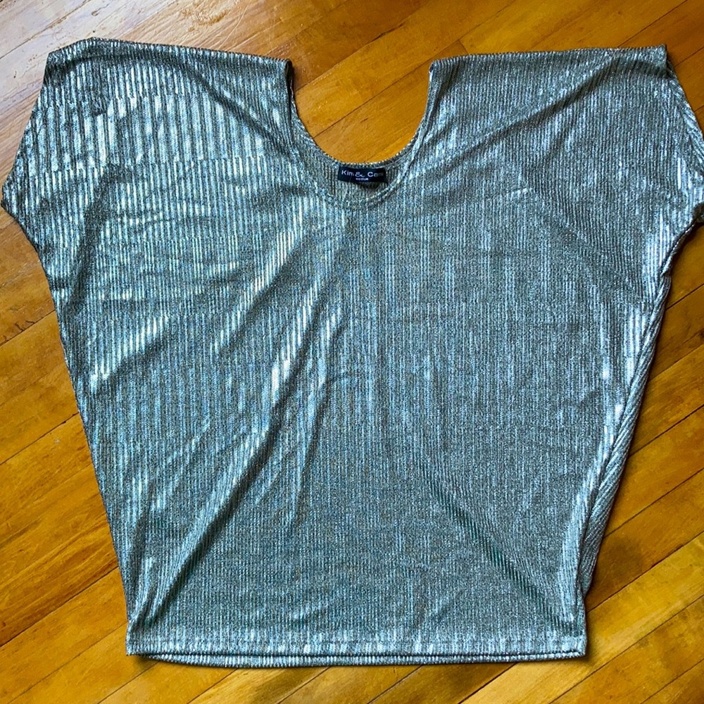 Silver Disco Top